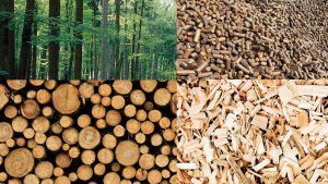 Biomasse fra skog